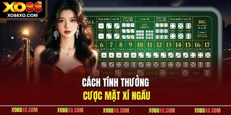 Cách tính thưởng cược mặt xí ngầu