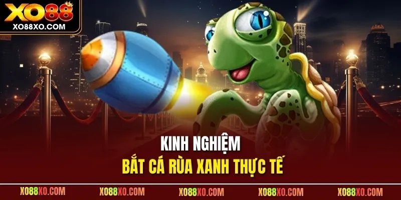 Kinh nghiệm bắt cá rùa xanh thực tế