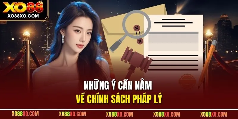 Những ý cần nắm về chính sách pháp lý