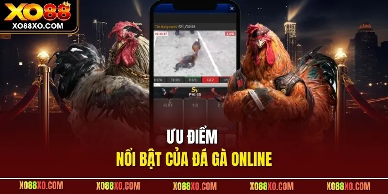 Ưu điểm nổi bật của đá gà online