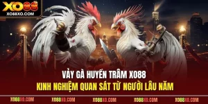 Vảy gà huyền trâm