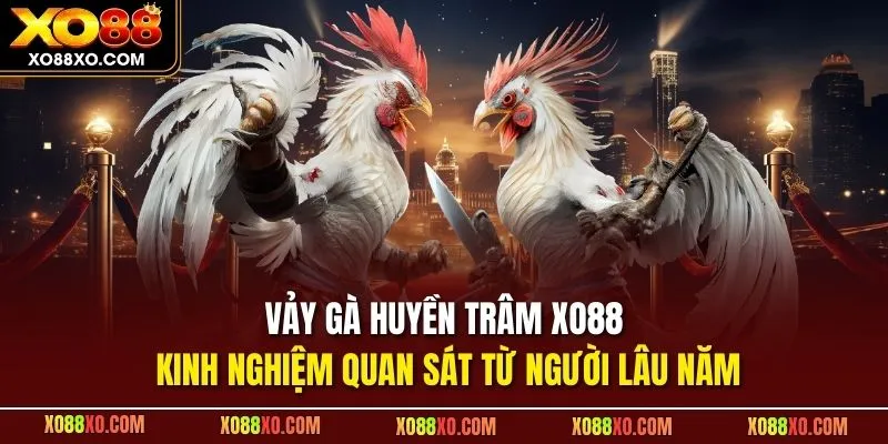 Vảy gà huyền trâm